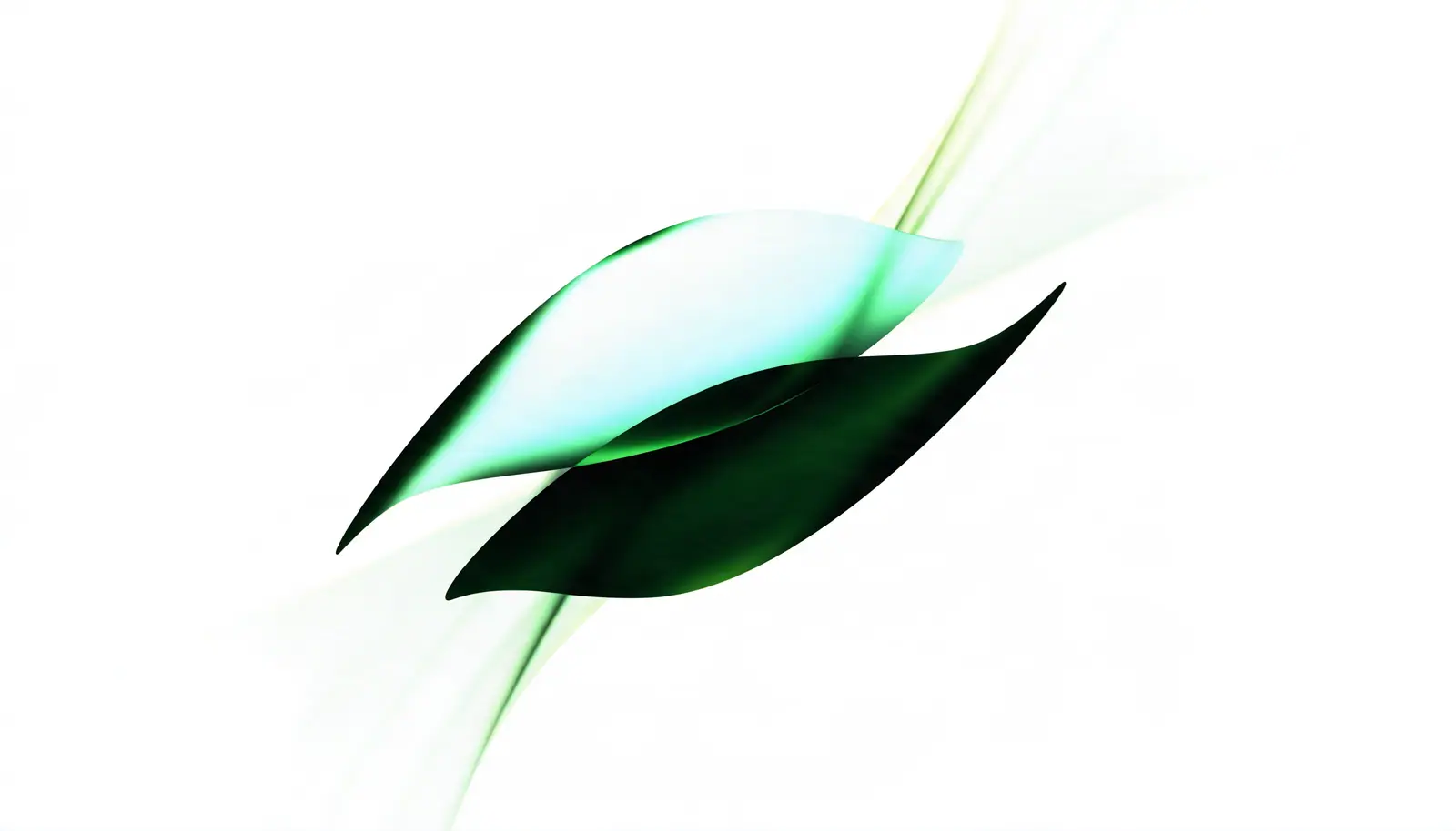 Two leaf shapes with emerald light trails on a warm white background